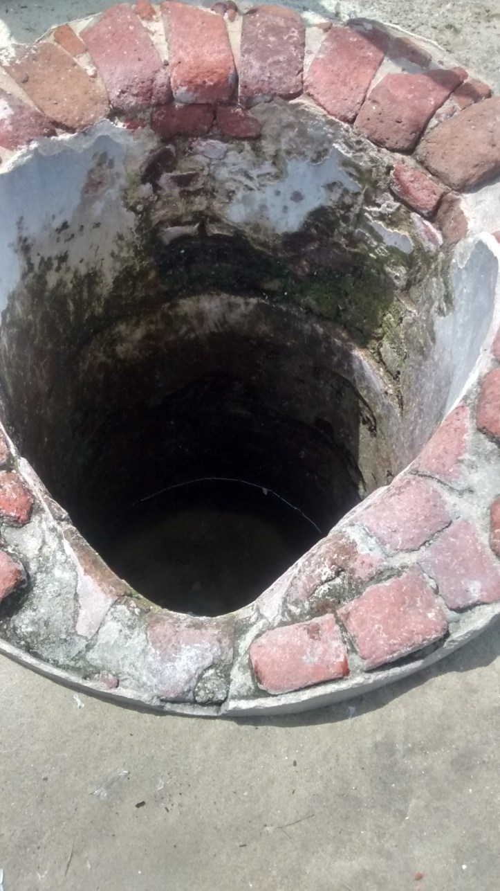 IMG_20141105_121254189_HDR