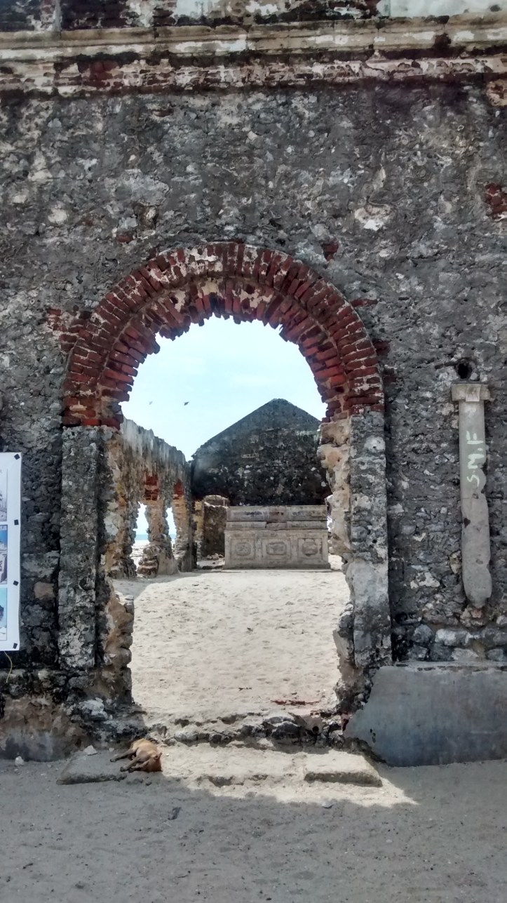 IMG_20141105_122113091_HDR